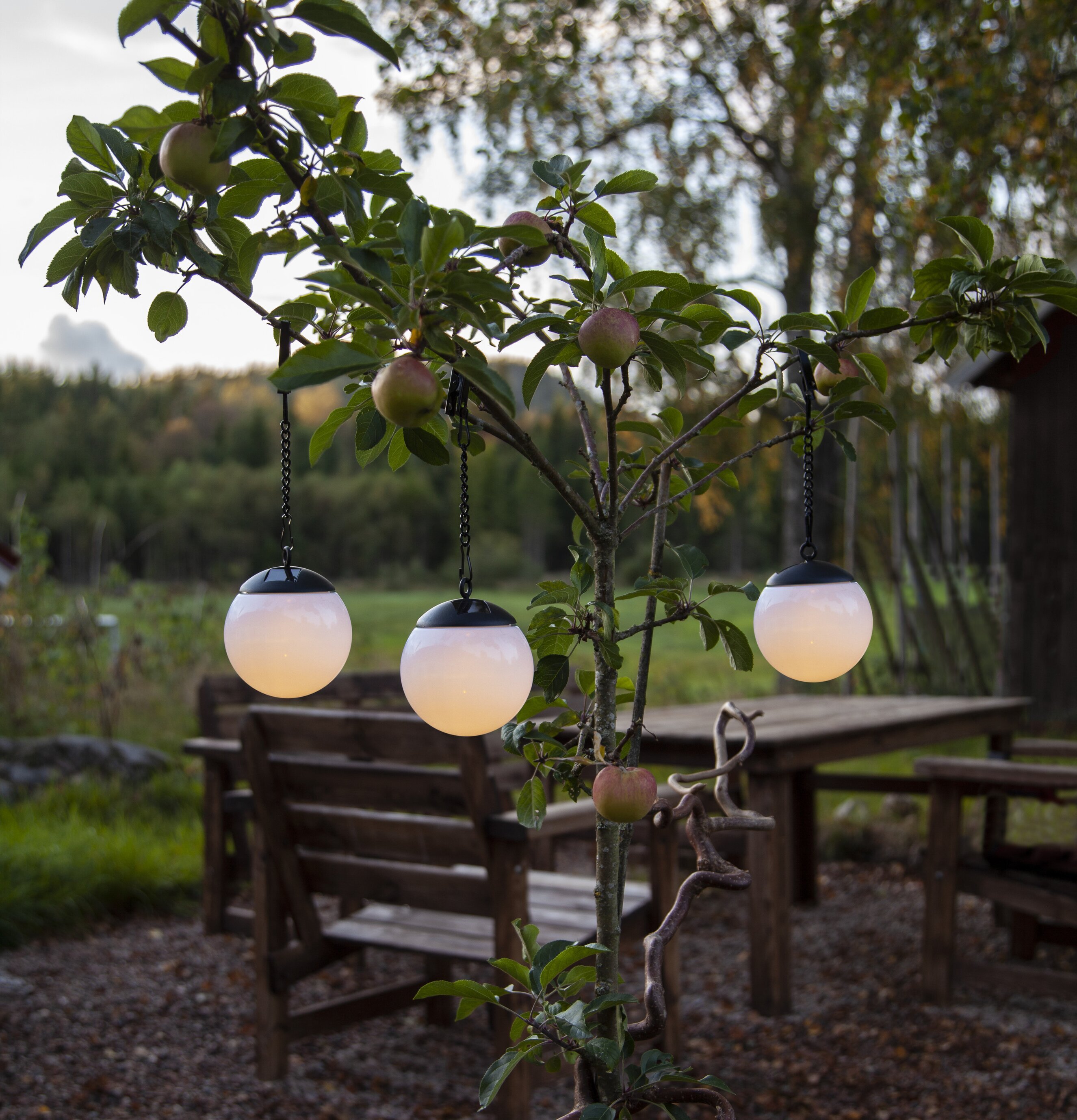 Solcellsdekoration Globus från Star Trading i fruktträd