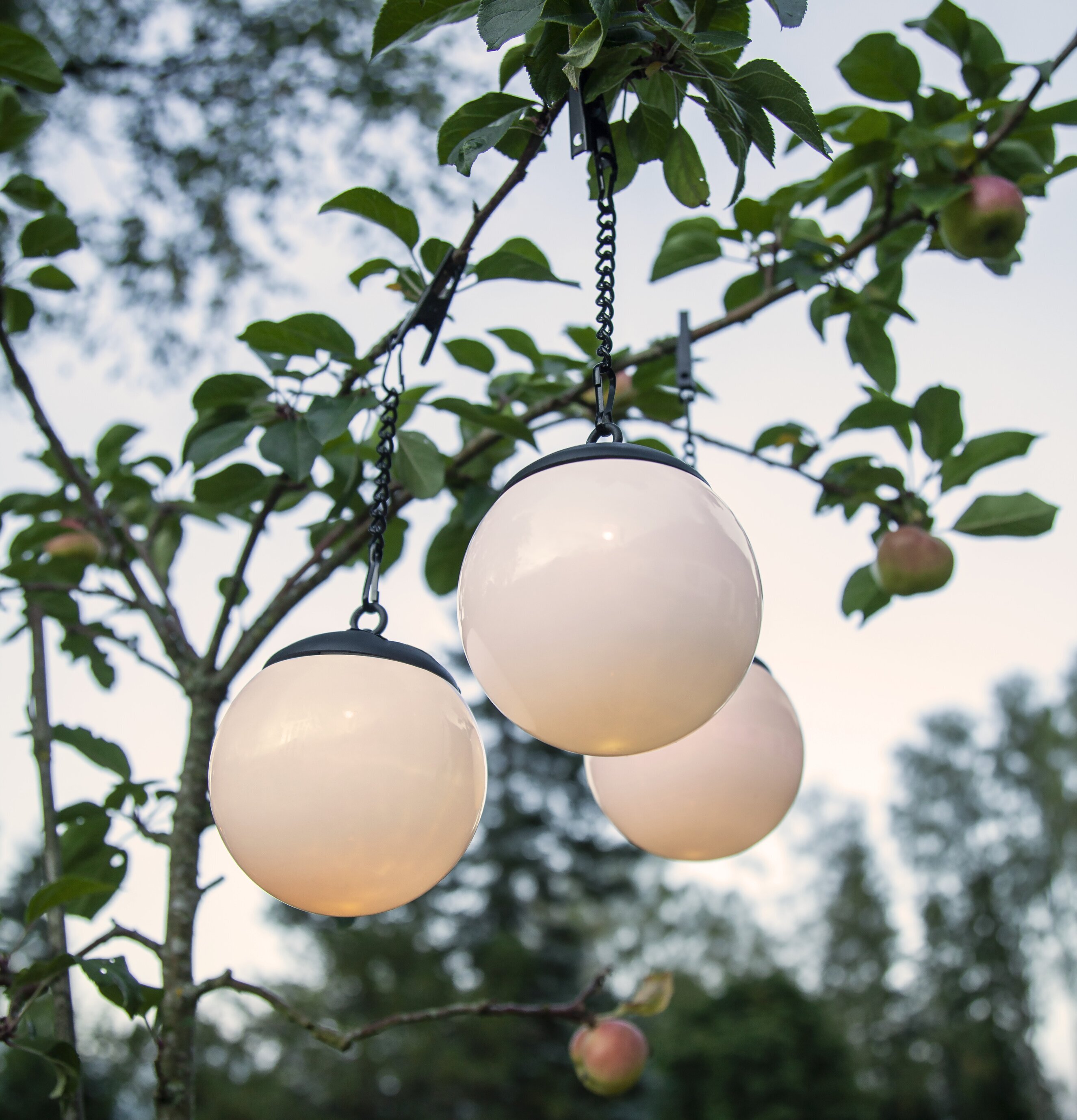Solcellsdekoration Globus från Star Trading i trädgren