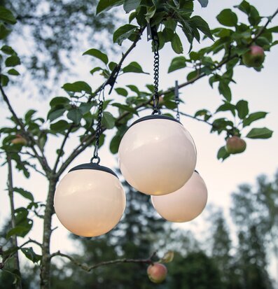 Solcellsdekoration Globus från Star Trading i trädgren