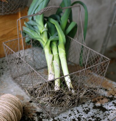 Nätkorg Med Handtag Antikbrun från Västanvinden på bord
