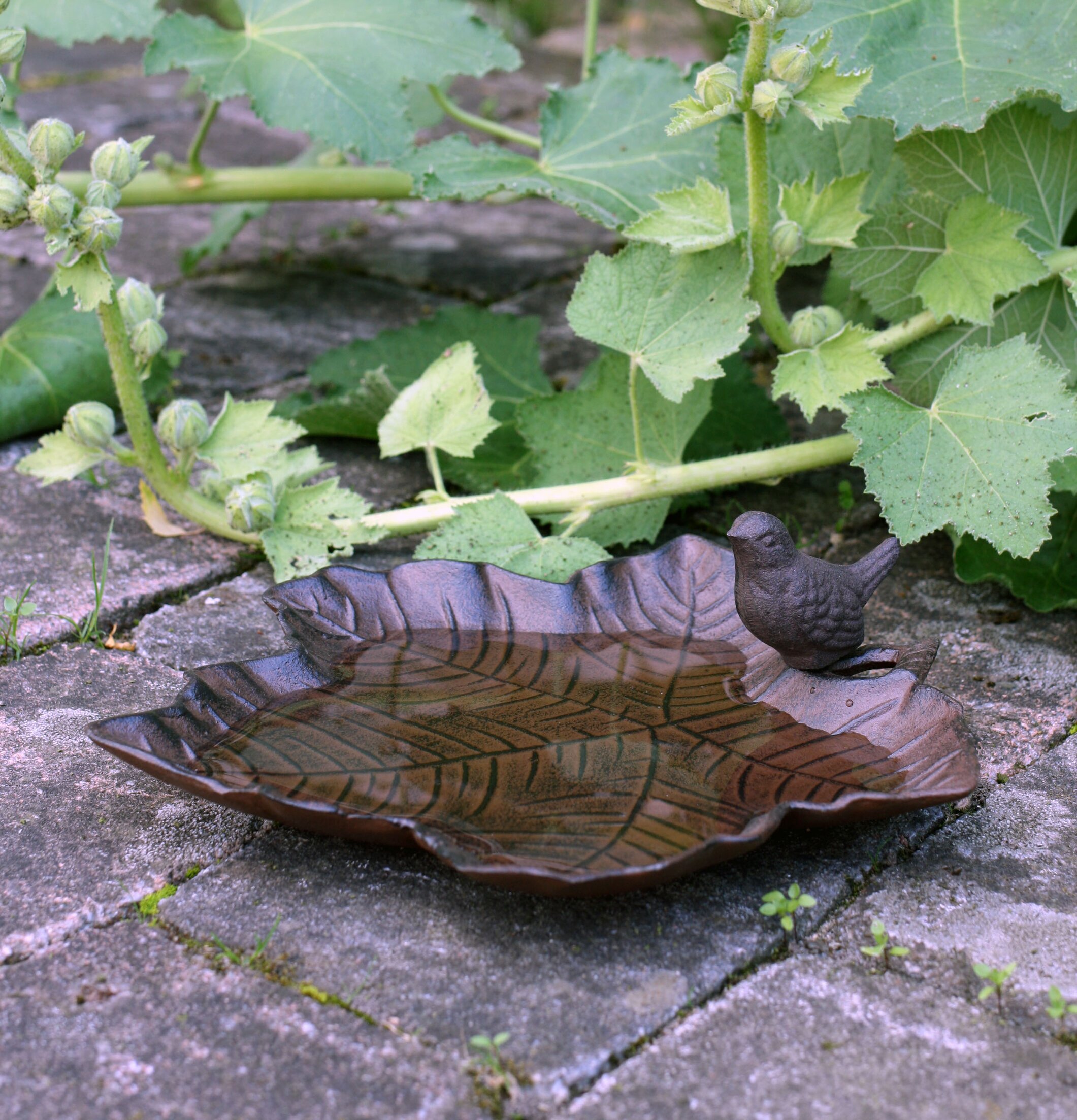 Fågelbad Löv Med Fågel från Västanvinden på stenläggning