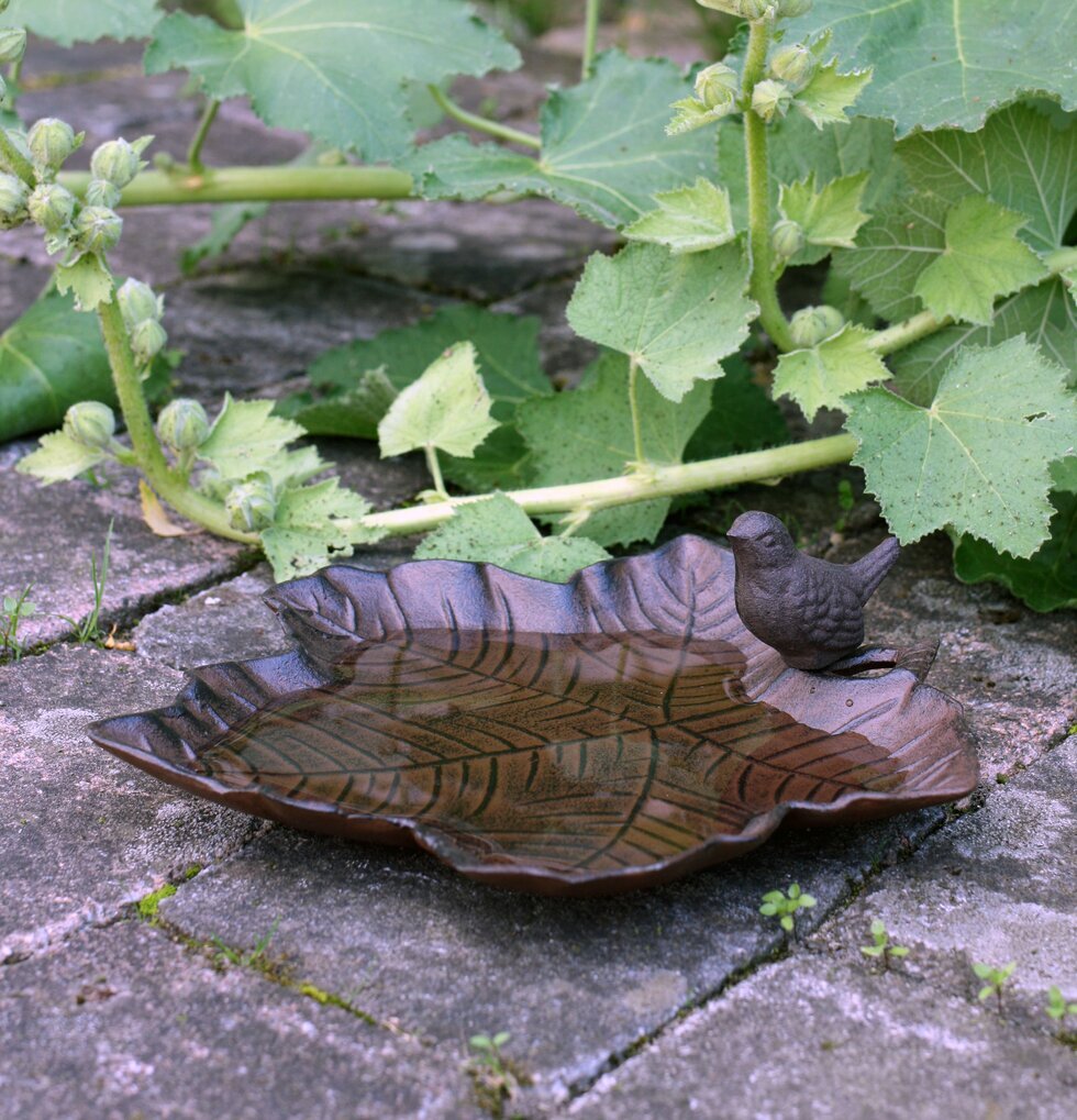 Fågelbad Löv Med Fågel från Västanvinden på stenläggning