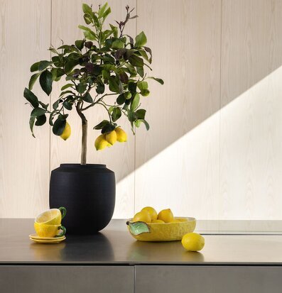 Skål Lemon Large från By ON på mörkgrått bord med citroner