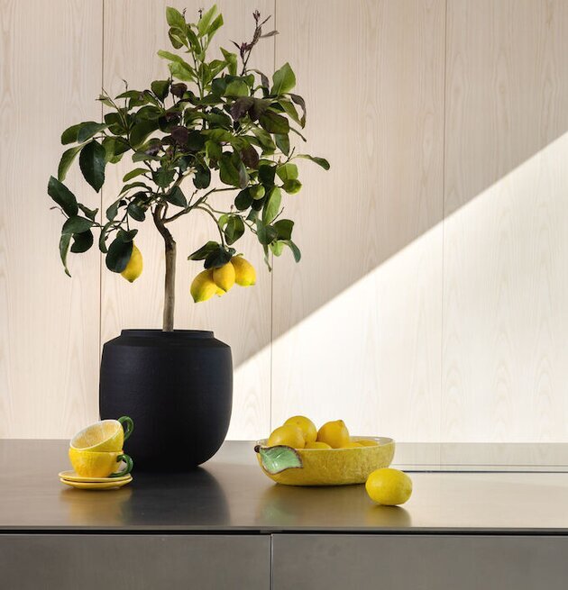 Skål Lemon Large från By ON på mörkgrått bord med citroner