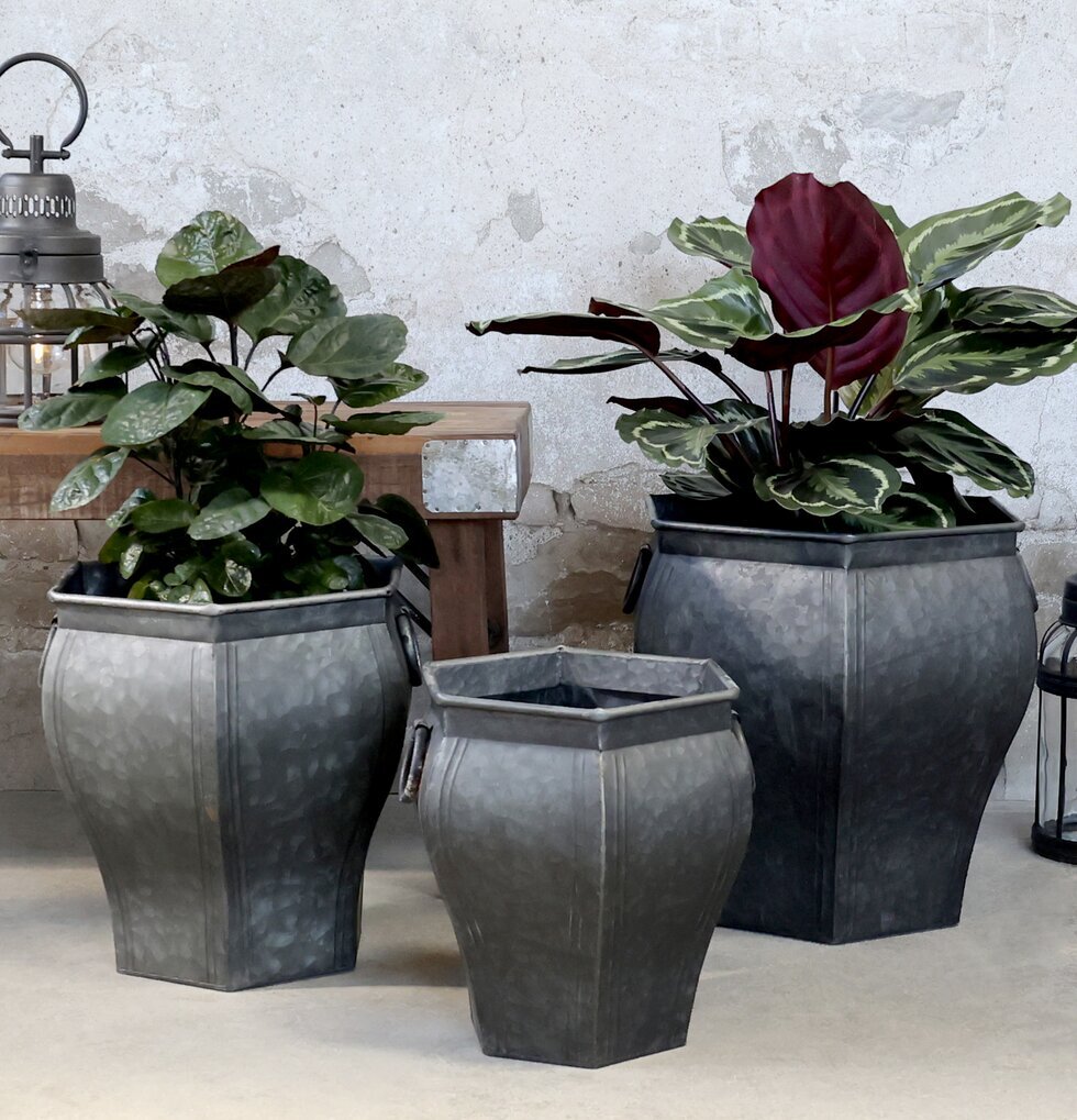 Kruka Med Handtag Antik Zink från Chic Antique med växter