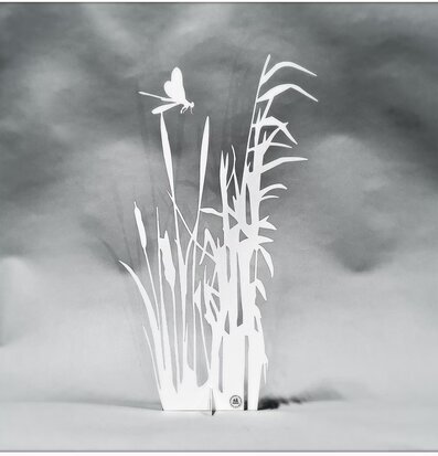 #ÄlskaPlåt Vass Med Dagsslända Vit från Älskaplåt