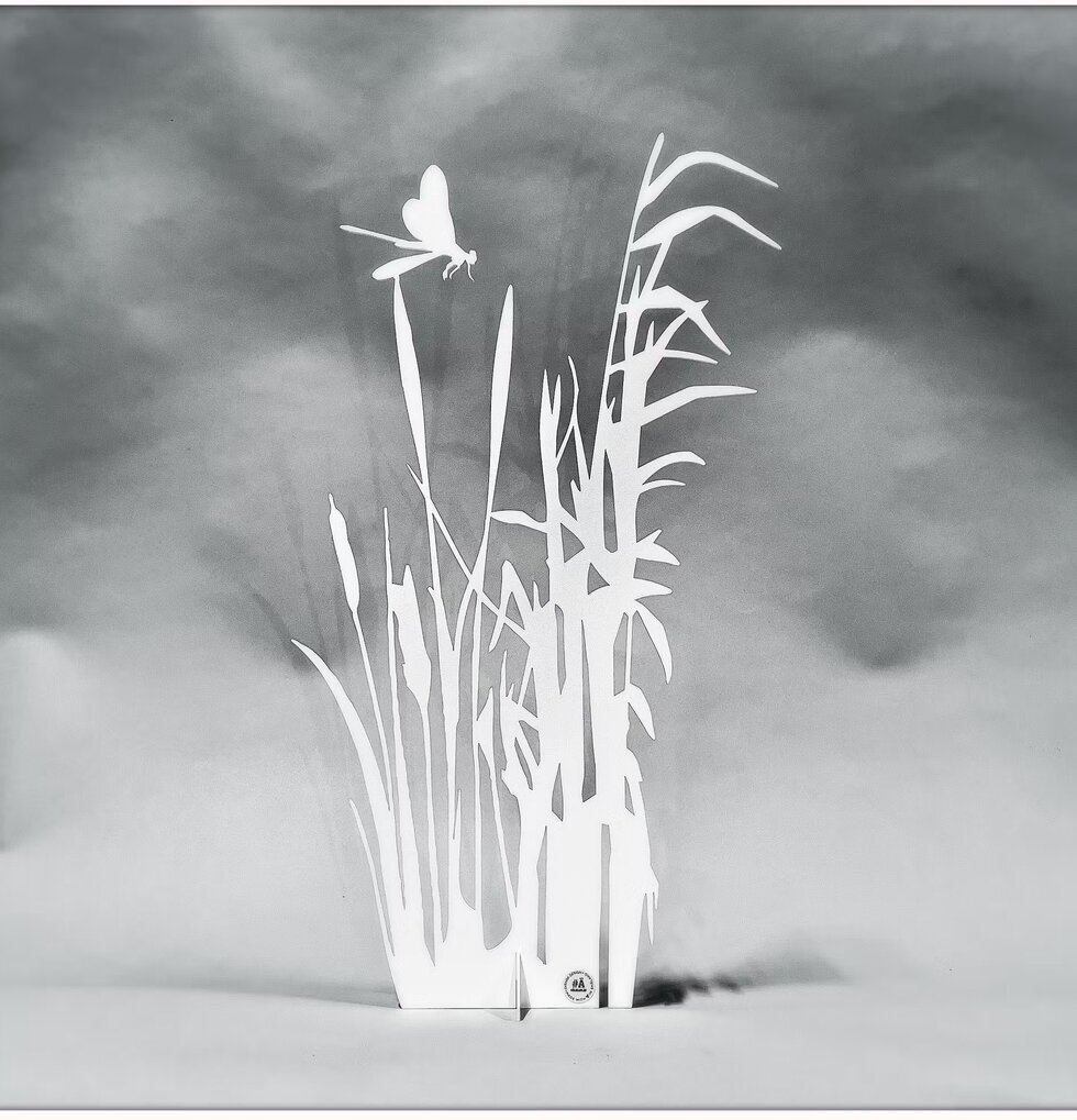 #ÄlskaPlåt Vass Med Dagsslända Vit från Älskaplåt