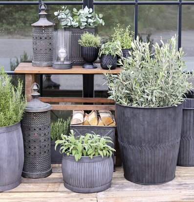 Fransk Lanterna Large från Chic Antique i trädgårdsmiljö