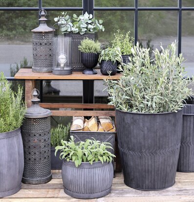 Fransk Lanterna Medium från Chic Antique i naturlig miljö