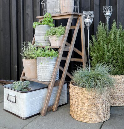 Plåtlåda Med Handtag Antik Zink från Chic Antique i trädgård