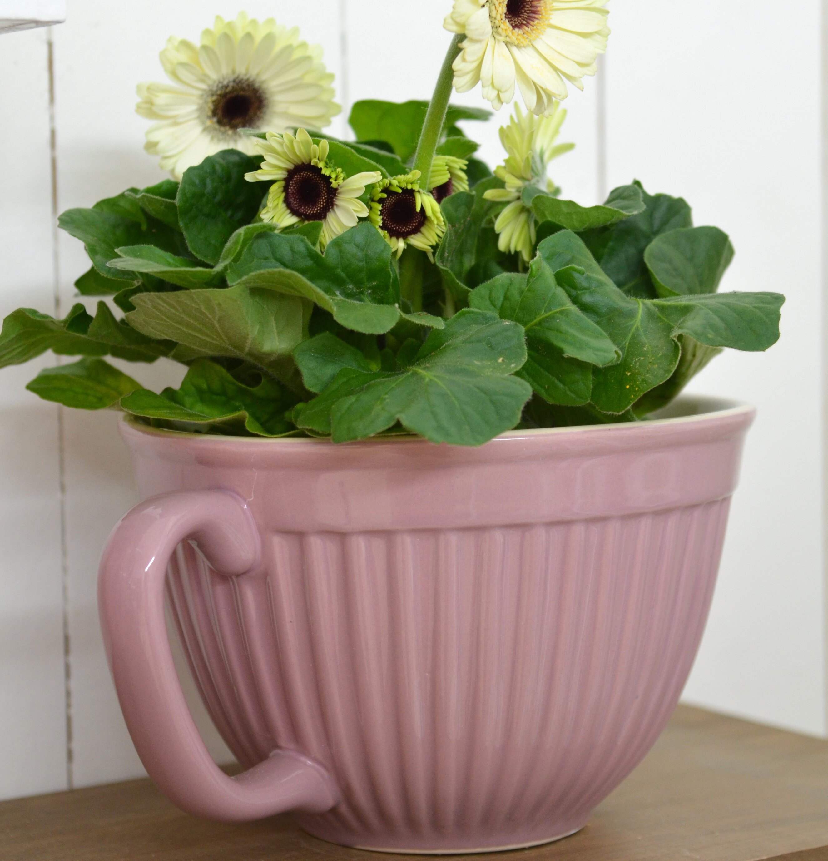 Vispskål Mynte English Rose från IB Laursen med blommor