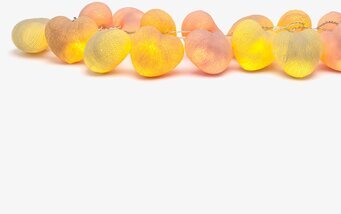 Ljusslinga Happy Lights - Blossom från Happy Lights