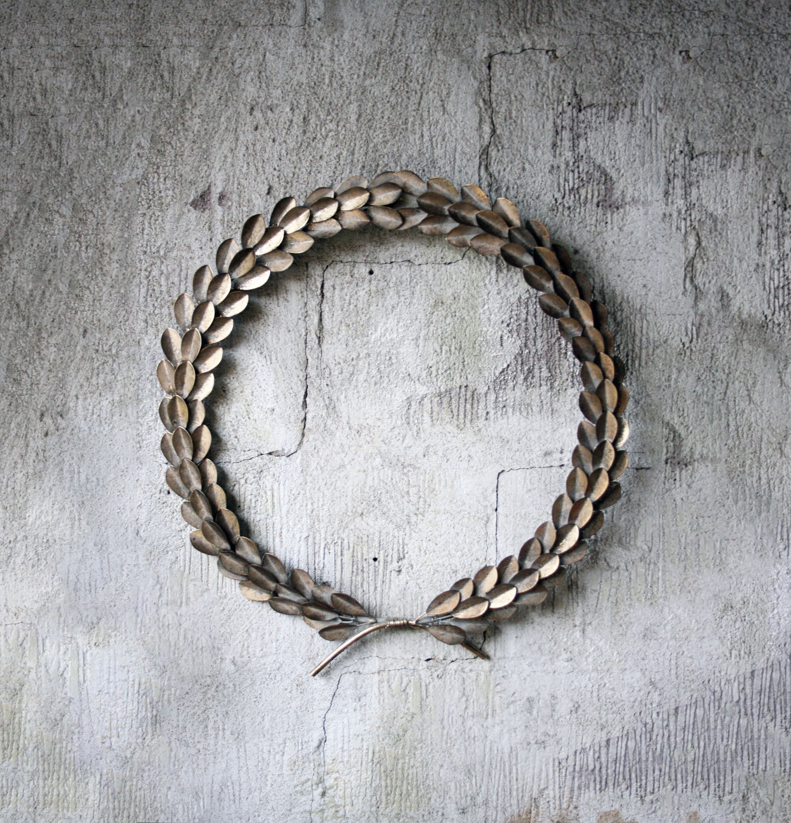 Cesarkrans Guld från Västanvinden mot rustik betongvägg