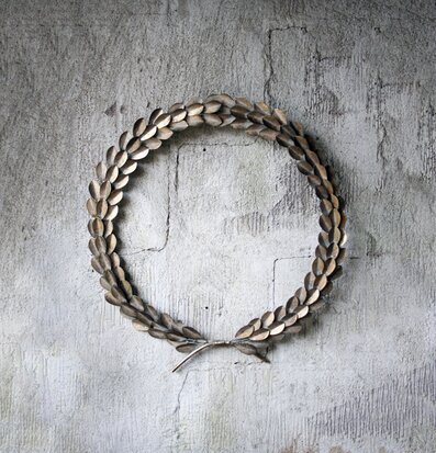 Cesarkrans Guld från Västanvinden mot rustik betongvägg