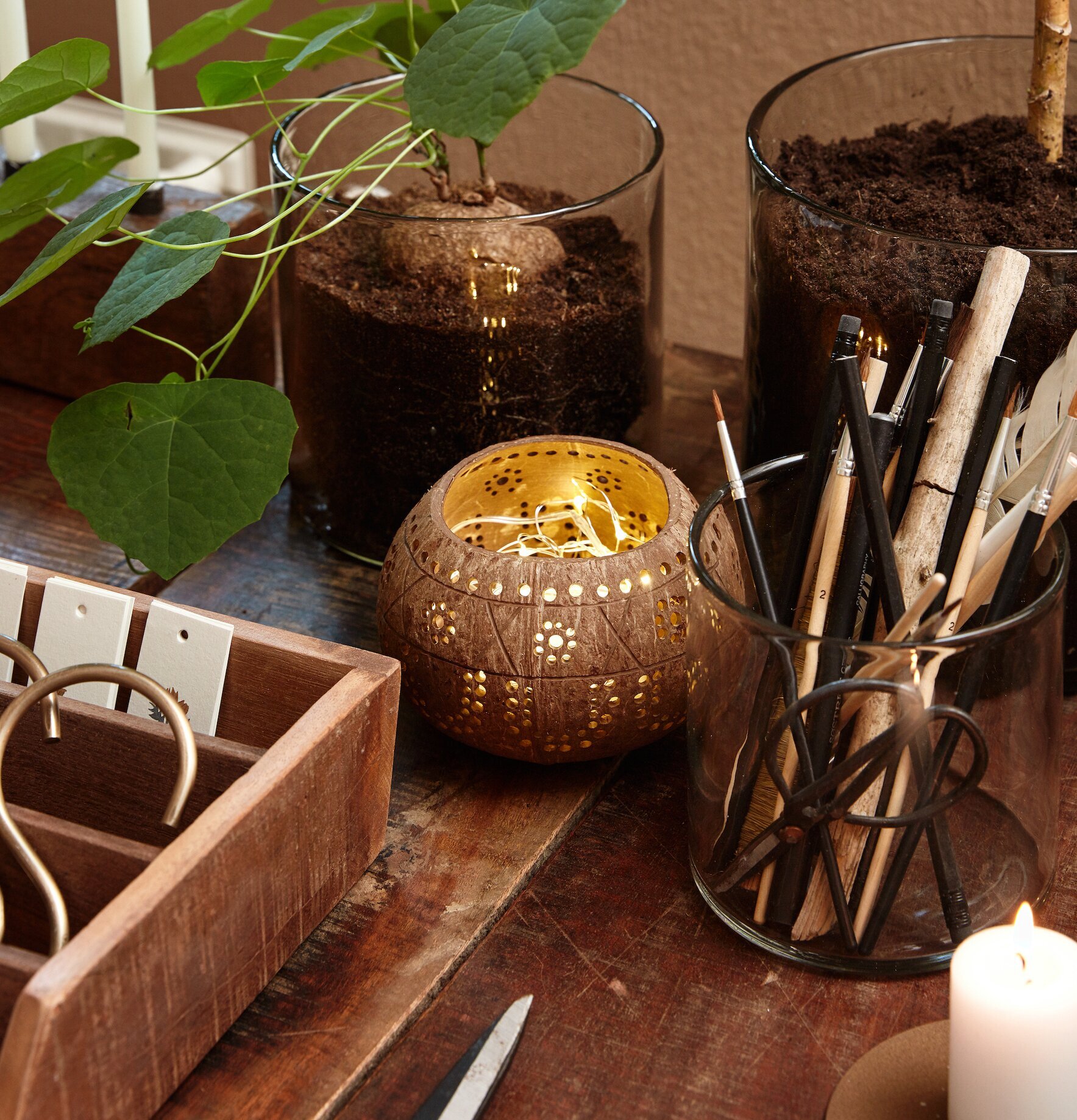 Bild av harmoniskt arrangemang med naturliga element