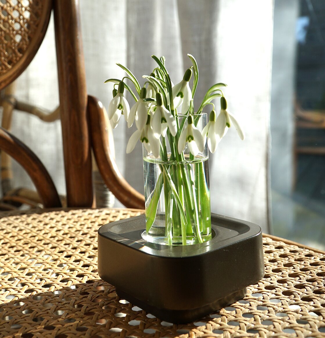 Stumpastaken Ettan Coffee Bronze från Stumpastaken med blommor