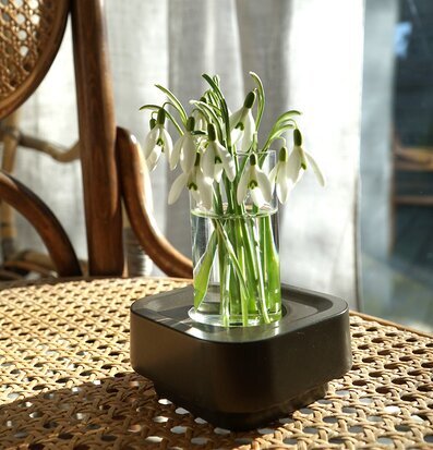 Stumpastaken Ettan Coffee Bronze från Stumpastaken med blommor