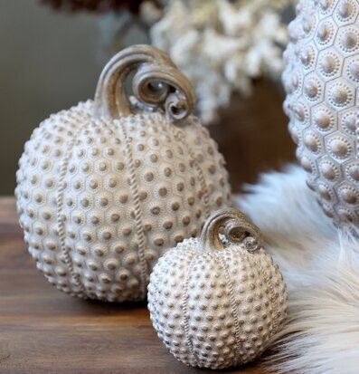 Pumpa Liten Antique Latte från Chic Antique på träbord