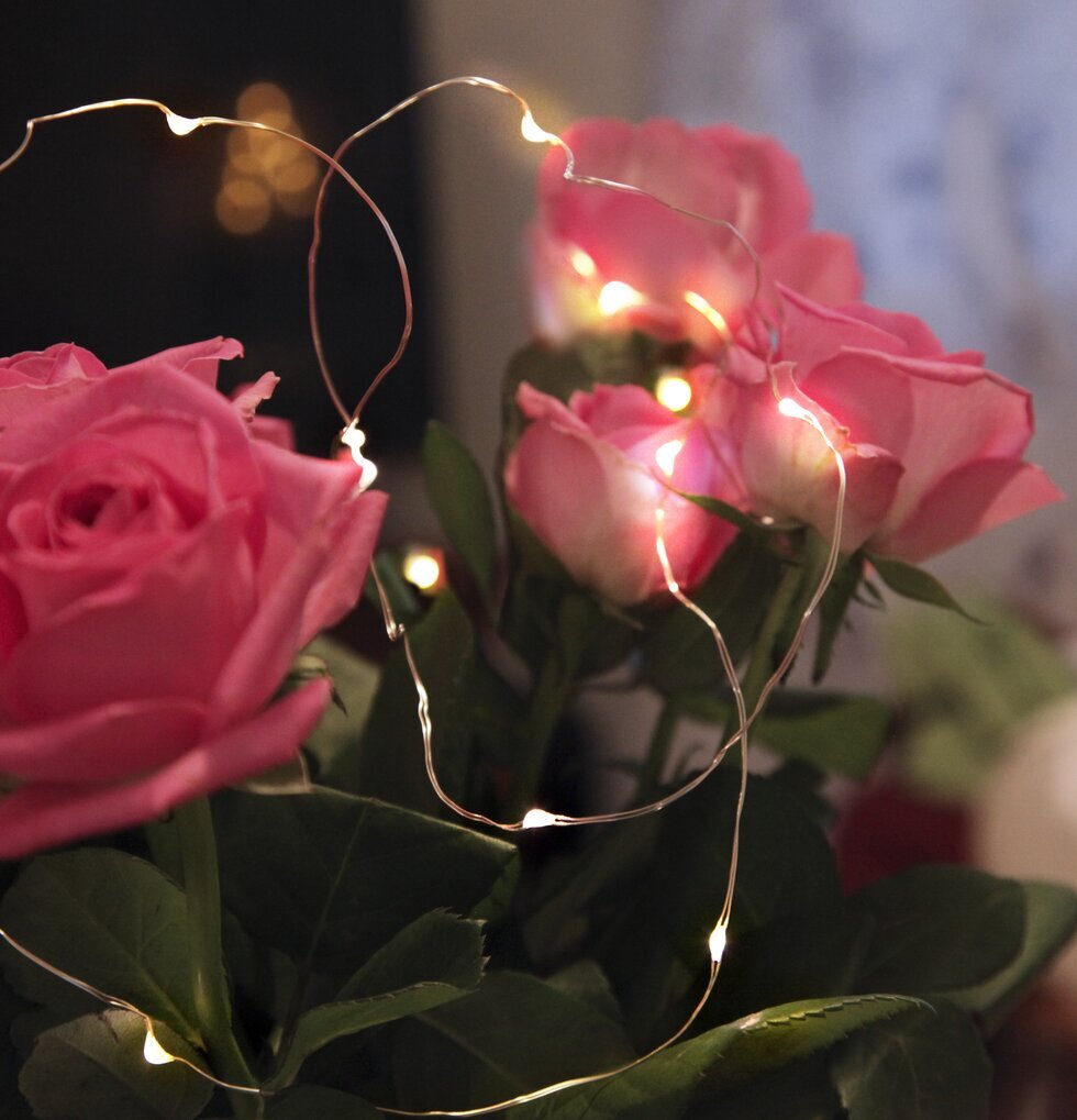 Trådslinga Dew Drop 12 från Star Trading runt rosor