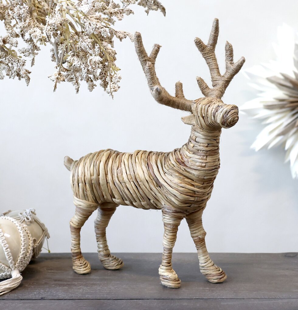 Ren Rotting Natur skulptur av Chic Antique på mörkt träsurf