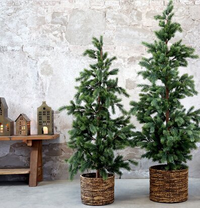 Bild av harmonisk inredning med granar och lyktor