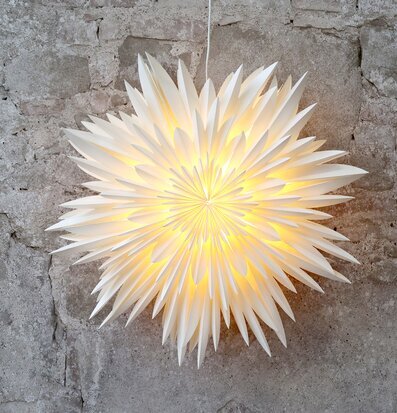 Adventsstjärna Vintage Creme från Chic Antique mot stenmur