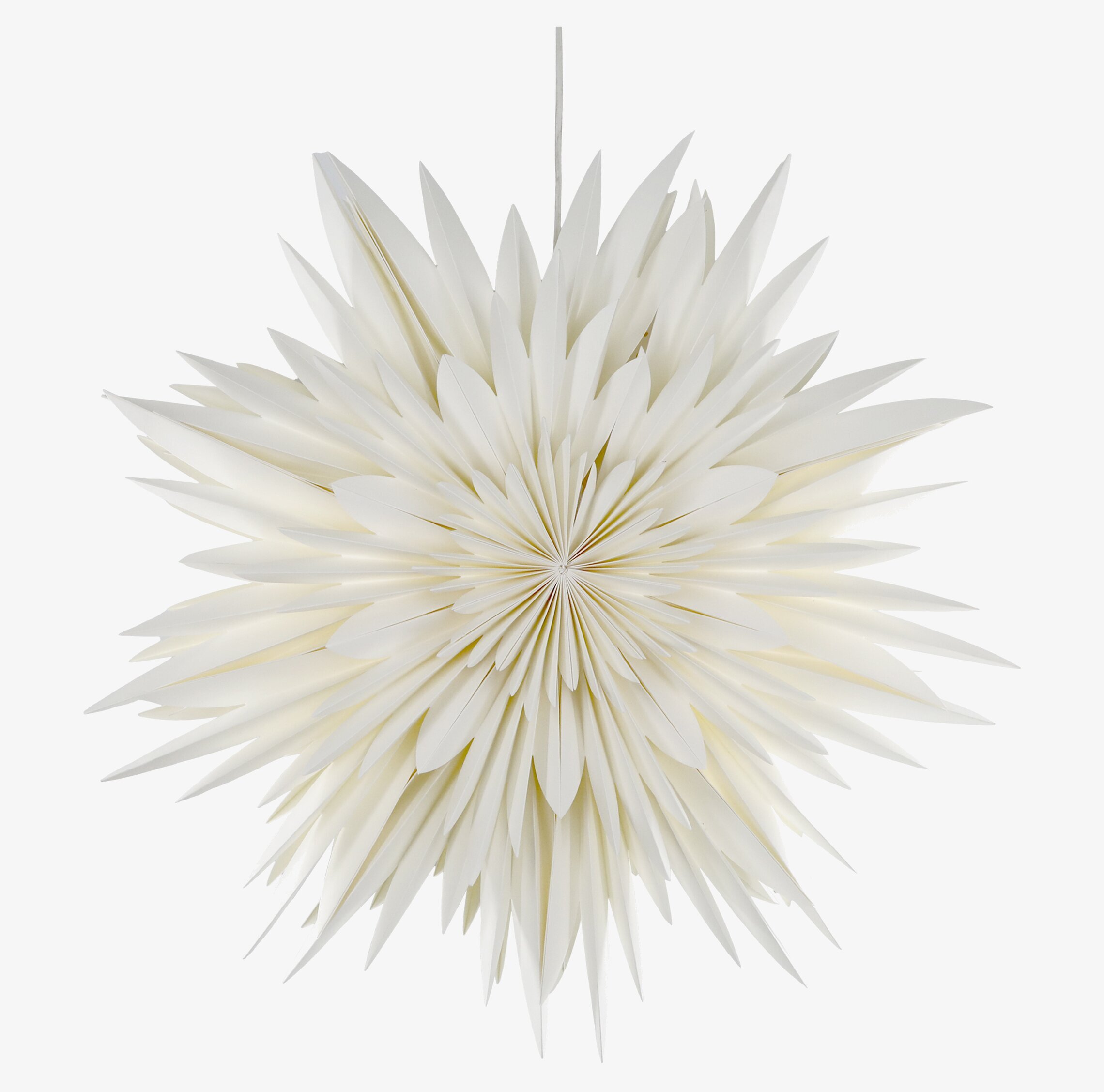 Adventsstjärna Vintage Creme från Chic Antique, blomformad