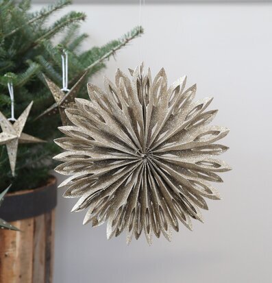 Stjärna Vintage Champagne Ø25cm från Chic Antique i julgran