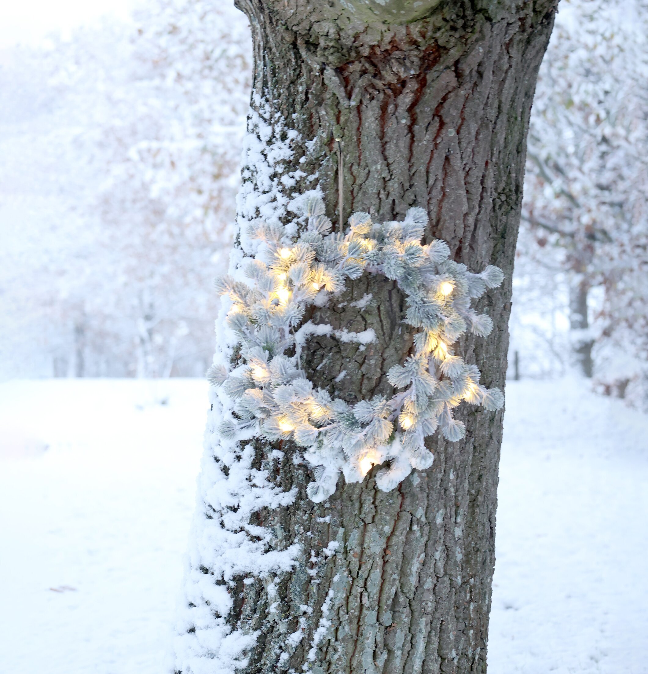 Fleur Krans Cederträ LED från Chic Antique på snötäckt träd