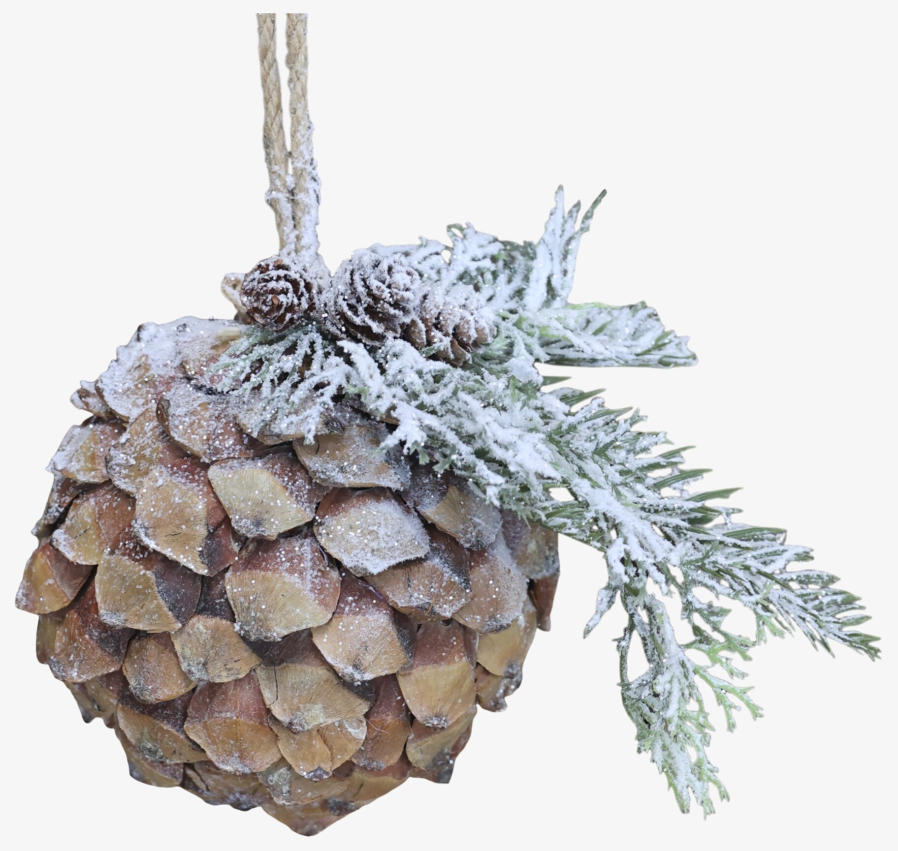 Fleur Kotte Med Snö Natur från Chic Antique mot vit bakgrund