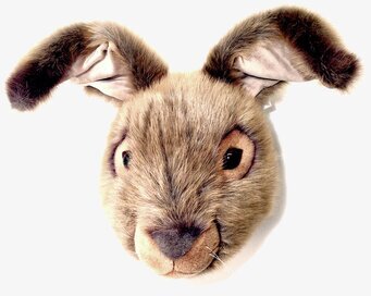 Djurhuvud Hare från Brigbys, realistisk väggprydnad