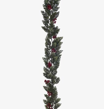 Bärgirlang från Mr Plant med gröna blad och röda bär