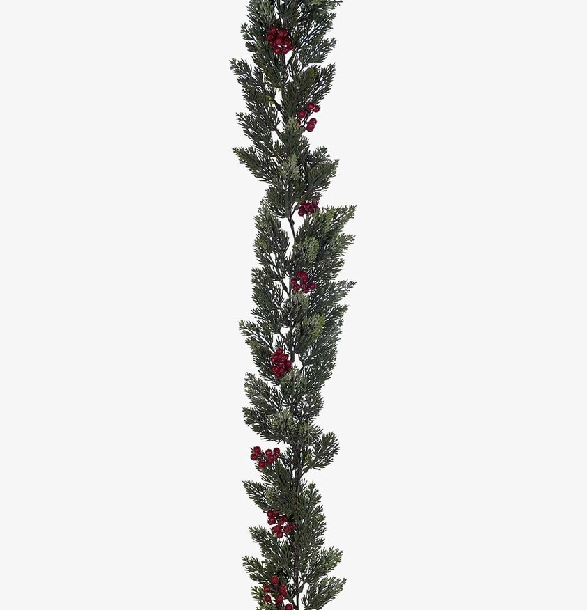 Bärgirlang från Mr Plant med gröna blad och röda bär