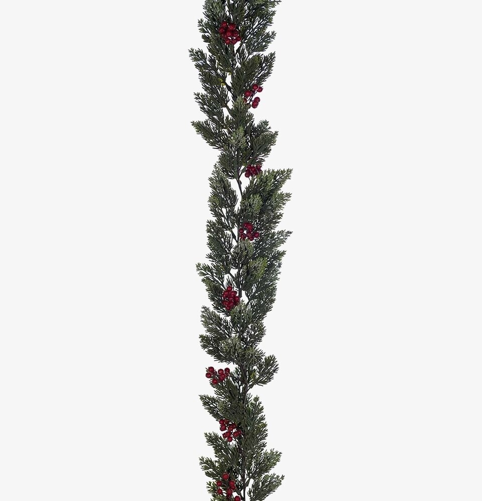 Bärgirlang från Mr Plant med gröna blad och röda bär