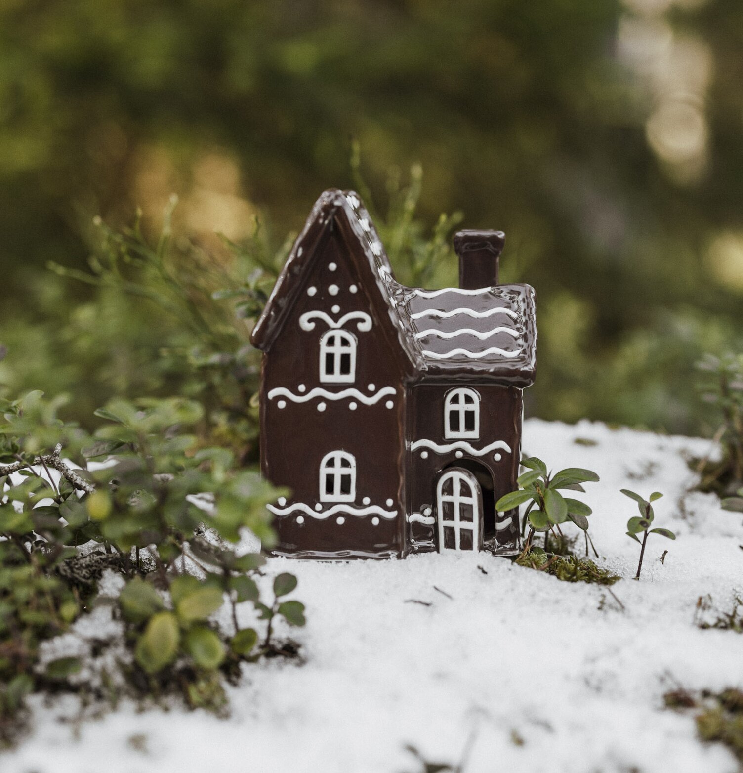 Bild av ett charmigt vinterlandskap med ljuslykta