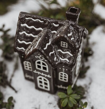 Bild av ljuslykta i vinterlandskap med snö och växter