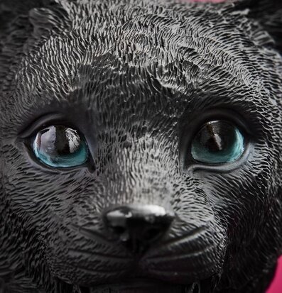 Bordslampa Katt Chouchou Svart från Werner Voss i fokus