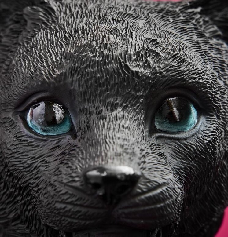 Bordslampa Katt Chouchou Svart från Werner Voss i fokus