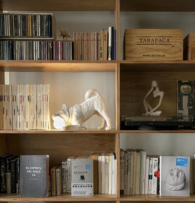 Bordslampa Playful Dog från Haoshi Design på en bokhylla