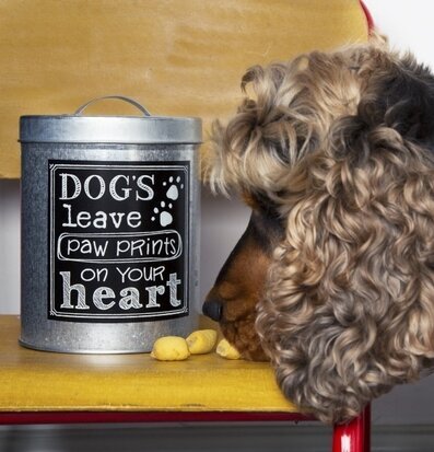 Bild av plåtburk med hundtema och gyllene hund