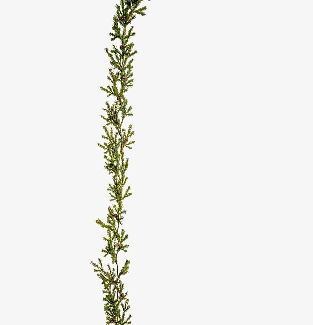 Grangirlang från Mr Plant på vit bakgrund, detaljrik design