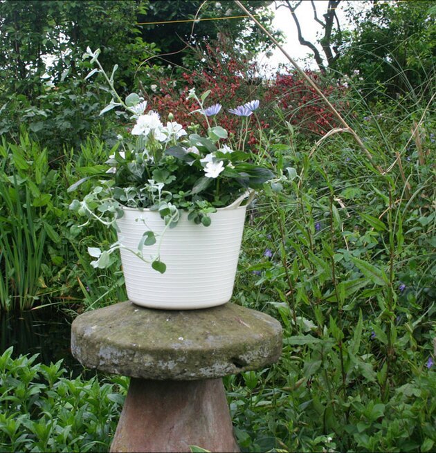 Tubtrugs Förvaringshink Rosa från Tubtrugs i en trädgård