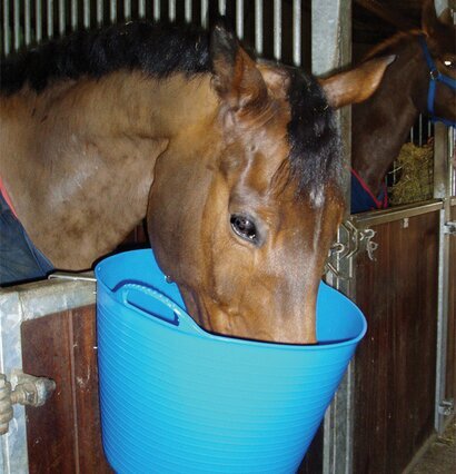 Tubtrugs Förvaringshink Rosa från Tubtrugs i stallmiljö