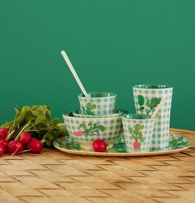 Foto av färgglada melaminprodukter med rädismotiv