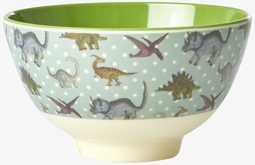 Liten Skål New Dino Print från Rice med dinosauriemotiv