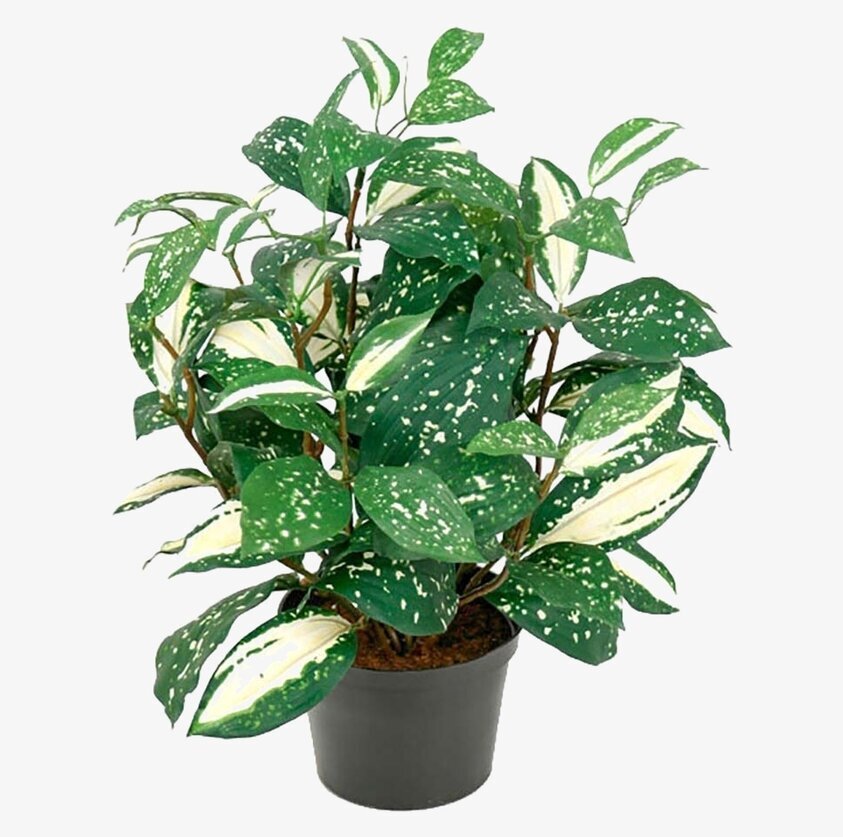 Cordyline Konstväxt från Mr Plant i svart plastkruka