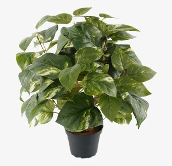 Gullranka Konstväxt från Mr Plant i svart plastkruka