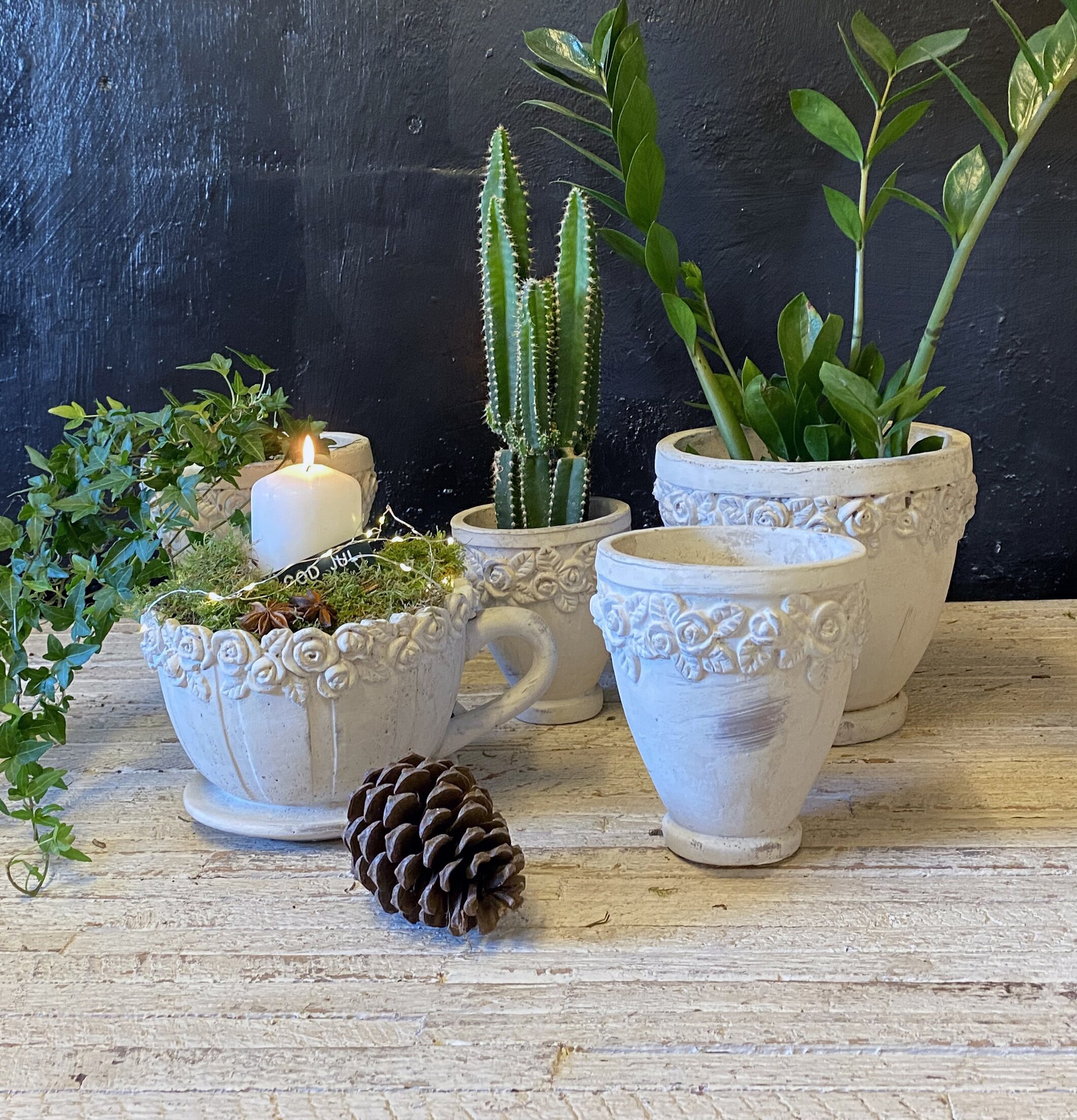 Kruka Rosenkopp från Västanvinden i rustik miljö med växter