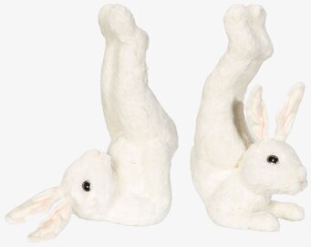Hare Workout Set/2 från A Lot Decoration, två kaniner