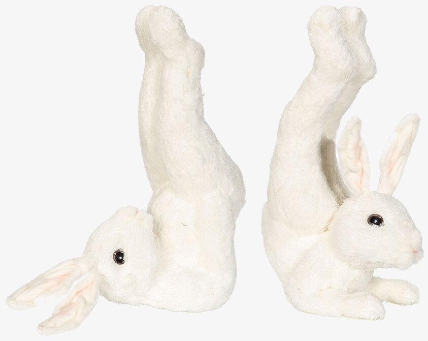 Hare Workout Set/2 från A Lot Decoration, två kaniner